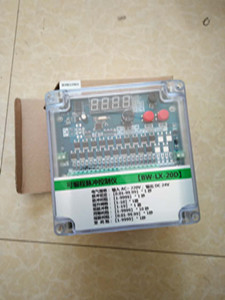 BW-ZX-20D可編程脈沖控制儀