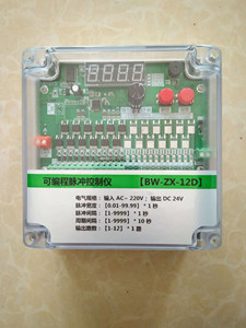 BW-ZX-12D可編程脈沖控制儀